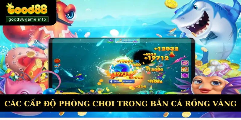 Các cấp độ phòng chơi trong bắn cá rồng vàng Các cấp độ phòng chơi trong bắn cá rồng vàng