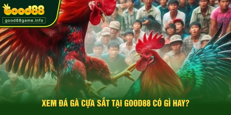 Những thú vui khi xem đá gà cựa sắt