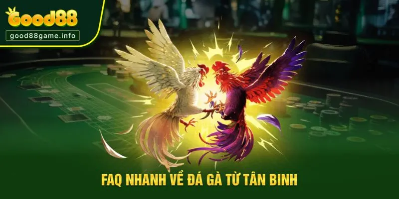 Giải đáp thắc mắc từ người chơi chọi kê Giải đáp thắc mắc từ người chơi chọi kê