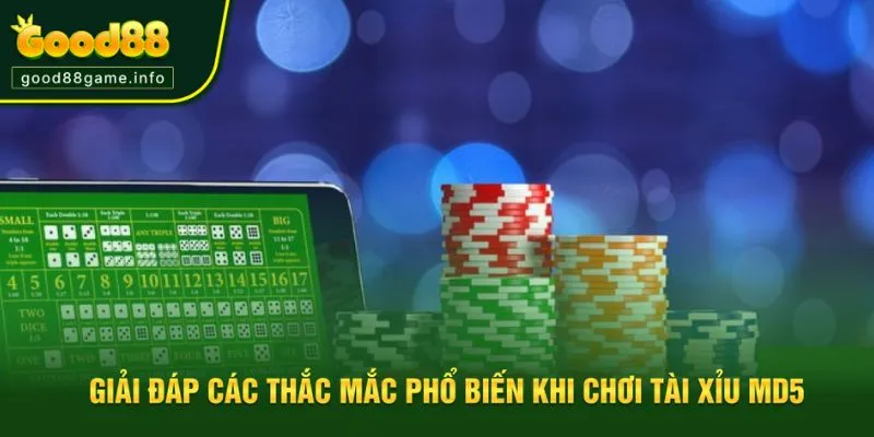 Giải đáp các thắc mắc phổ biến khi chơi tài xỉu MD5 Giải đáp các thắc mắc phổ biến khi chơi tài xỉu MD5