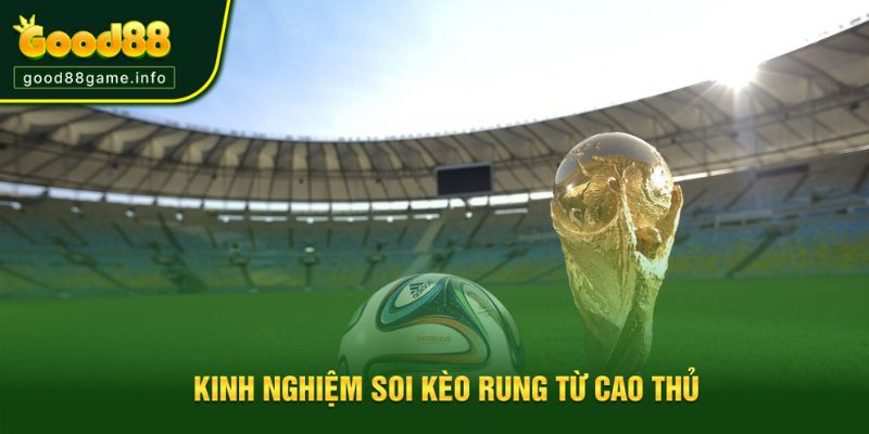 Kinh nghiệm hay từ cao thủ để soi kèo cược rung Kinh nghiệm hay từ cao thủ để soi kèo cược rung