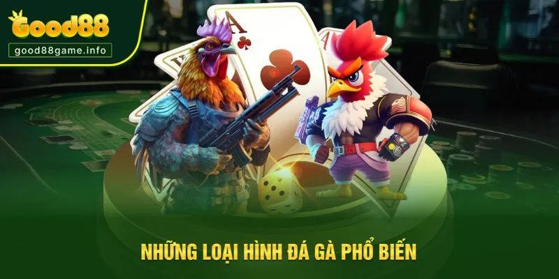 Tìm hiểu các loại hình đá gà tại hệ thống Tìm hiểu các loại hình đá gà tại hệ thống