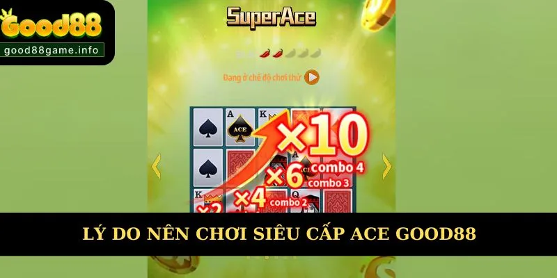 Lý do nên trải nghiệm siêu cấp ACE   Lý do nên trải nghiệm siêu cấp ACE