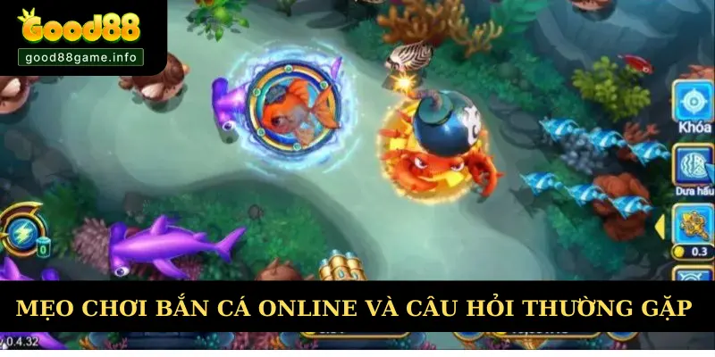Mẹo chơi bắn cá online và các câu hỏi thường gặp Mẹo chơi bắn cá online và các câu hỏi thường gặp