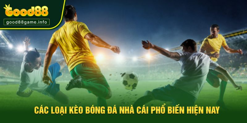 Những loại kèo nhà cái phổ biến được ưa chuộng Những loại kèo nhà cái phổ biến được ưa chuộng