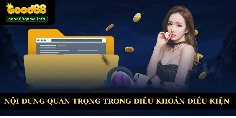 Nội dung quan trọng phải nắm trong điều khoản và điều kiện Nội dung quan trọng phải nắm trong điều khoản và điều kiện