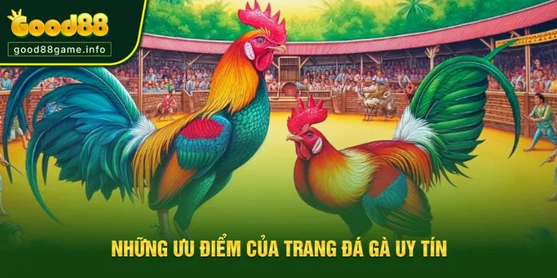 Ưu điểm của trang đá gà uy tín  Ưu điểm của trang đá gà uy tín