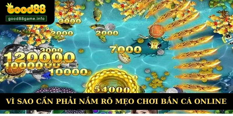 Vì sao cần phải nắm rõ mẹo chơi bắn cá online Vì sao cần phải nắm rõ mẹo chơi bắn cá online